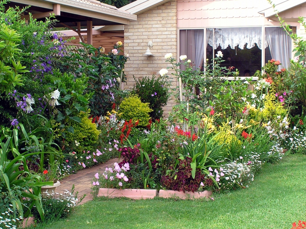 Entretien de jardin - DAMMARIE LES LYS